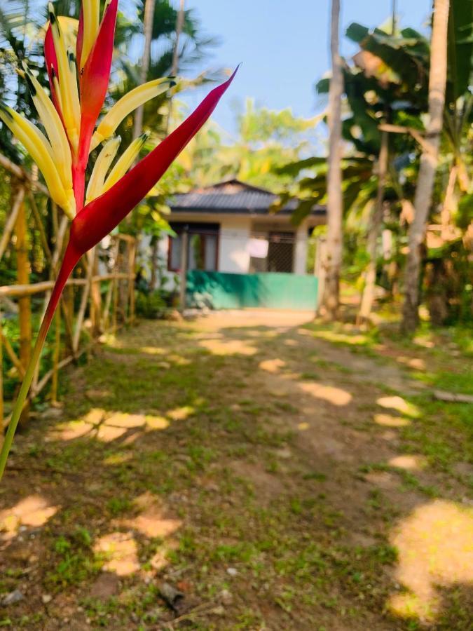 White Heaven Villa Унаватуна Экстерьер фото